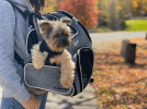 Mr. Peanut's Malibu Series Backpack Pet Carrier Stroller With Detachable Wheelbase