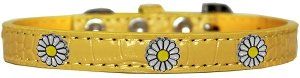 White Daisy Widget Croc Dog Collar Yellow Size 12