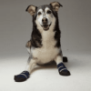 Healers Medical Dog Booties - One Pair - Small