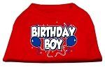 Birthday Boy Screen Print Shirts Red XS