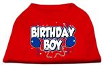 Birthday Boy Screen Print Shirts Red XXL