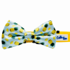 Cutie Ties Dog Bow Tie