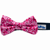 Cutie Ties Dog Bow Tie