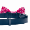 Cutie Ties Dog Bow Tie