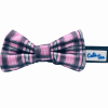 Cutie Ties Dog Bow Tie