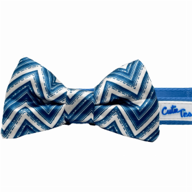 Cutie Ties Dog Bow Tie (Color: Zig Zag, size: One Size)