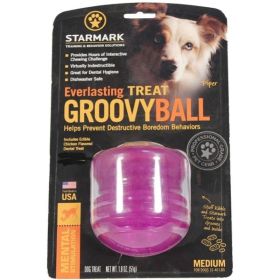 Starmark Everlasting Treat Groovy Ball (size: medium)