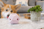 The Odin - Modern Treat Dispensing Dog Puzzle