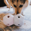 The Odin - Modern Treat Dispensing Dog Puzzle