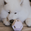 The Odin - Modern Treat Dispensing Dog Puzzle