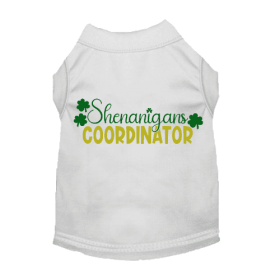 Shenanigans Coordinator (Color: White, size: 3X Large)